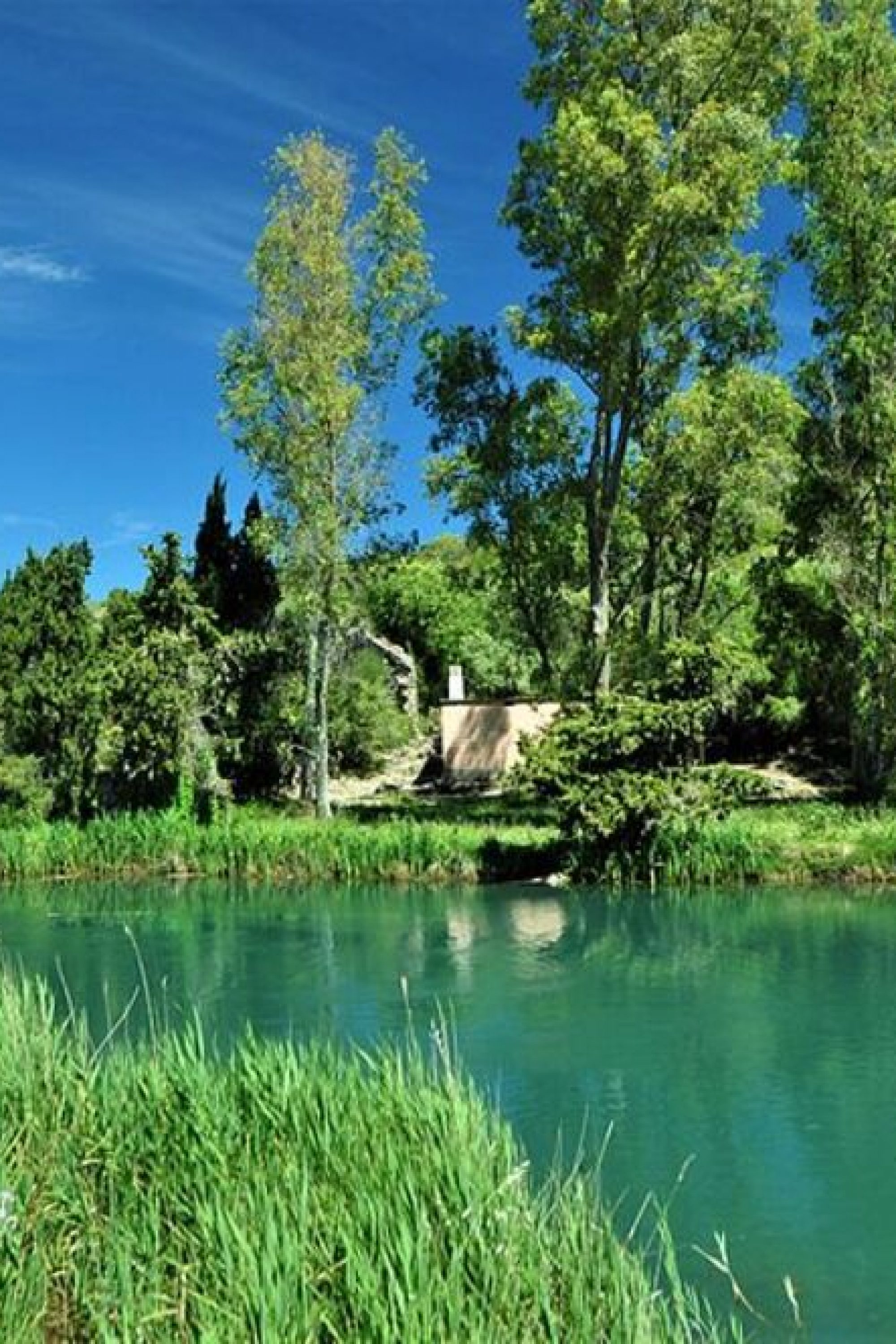 El parque marjal editada